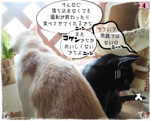 f:id:nyan-chuke:20200806193852j:plain f:id:nyan-chuke:20200806193852j:plain