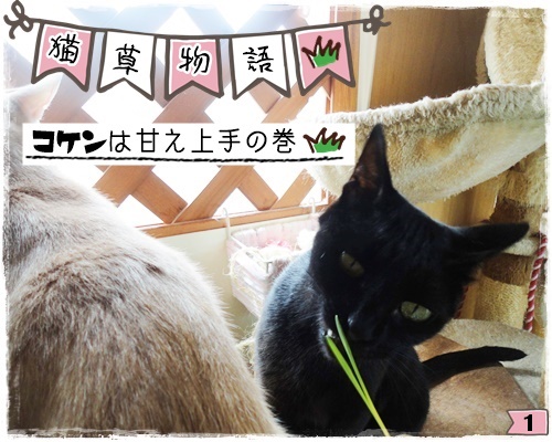 f:id:nyan-chuke:20200806193952j:plain f:id:nyan-chuke:20200806193952j:plain