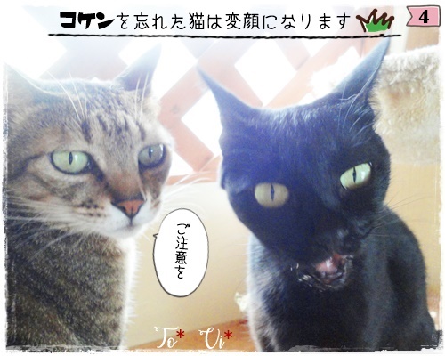 f:id:nyan-chuke:20200806194042j:plain f:id:nyan-chuke:20200806194042j:plain
