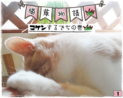 f:id:nyan-chuke:20200806194107j:plain f:id:nyan-chuke:20200806194107j:plain