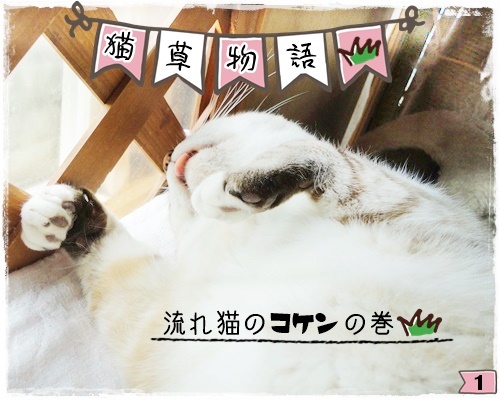 f:id:nyan-chuke:20200806194340j:plain f:id:nyan-chuke:20200806194340j:plain