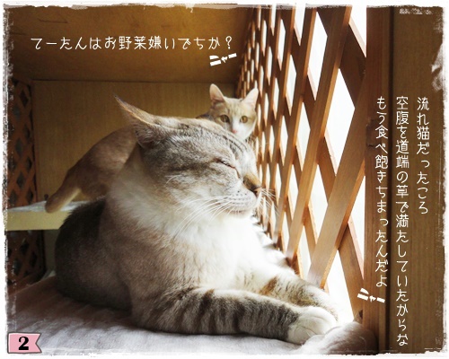 f:id:nyan-chuke:20200806194350j:plain f:id:nyan-chuke:20200806194350j:plain