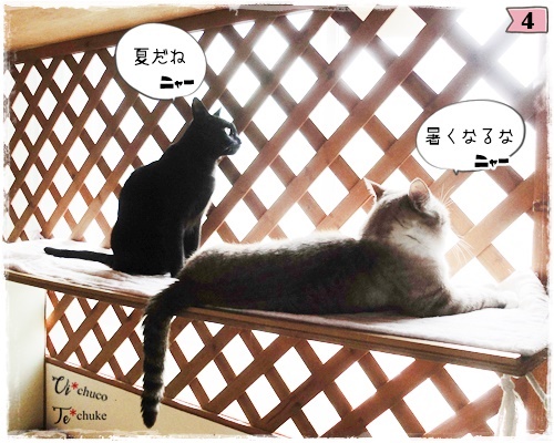 f:id:nyan-chuke:20200806194401j:plain f:id:nyan-chuke:20200806194401j:plain