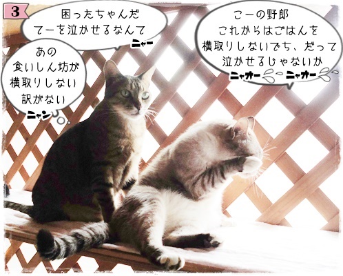 f:id:nyan-chuke:20200806194411j:plain f:id:nyan-chuke:20200806194411j:plain