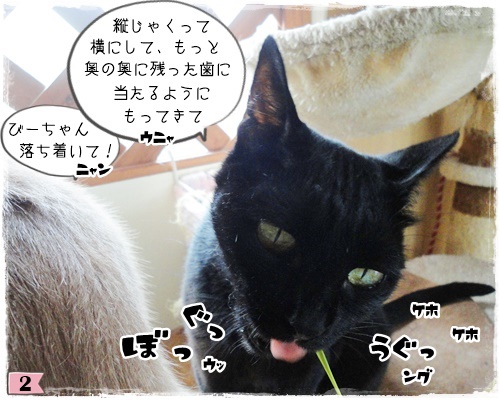 f:id:nyan-chuke:20200807161114j:plain f:id:nyan-chuke:20200807161114j:plain