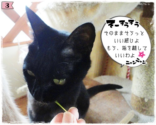 f:id:nyan-chuke:20200807161132j:plain f:id:nyan-chuke:20200807161132j:plain
