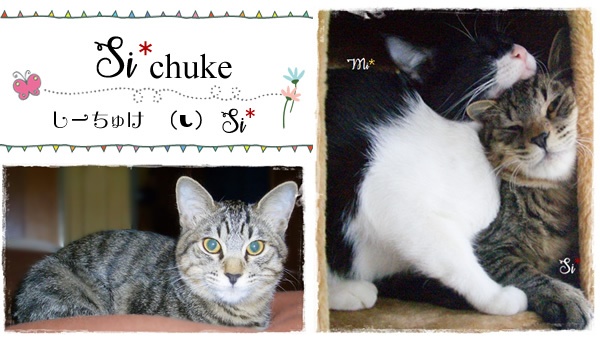 f:id:nyan-chuke:20200816000551j:plain f:id:nyan-chuke:20200816000551j:plain