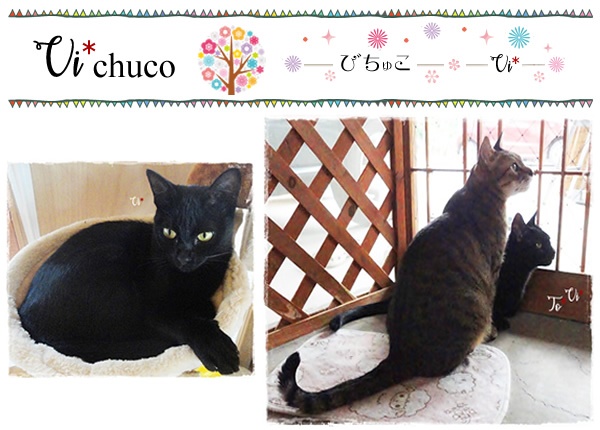 f:id:nyan-chuke:20200816001134j:plain f:id:nyan-chuke:20200816001134j:plain