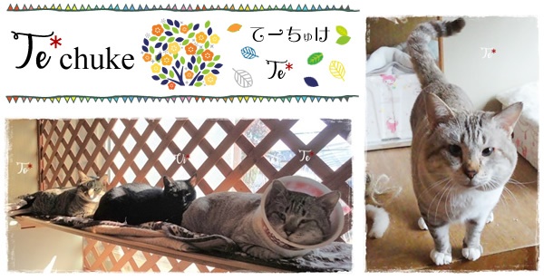 f:id:nyan-chuke:20200816001212j:plain f:id:nyan-chuke:20200816001212j:plain