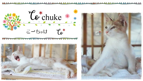 f:id:nyan-chuke:20200816001245j:plain f:id:nyan-chuke:20200816001245j:plain