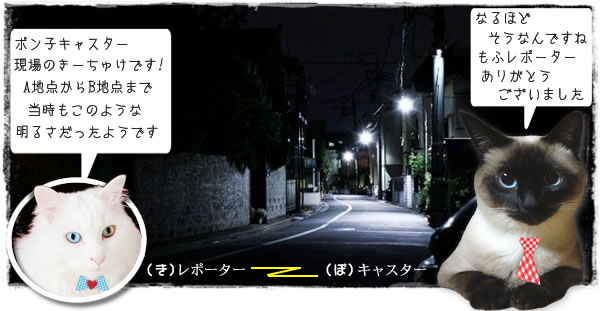 f:id:nyan-chuke:20200825002700j:plain f:id:nyan-chuke:20200825002700j:plain