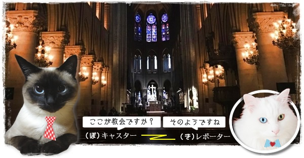 f:id:nyan-chuke:20200825002945j:plain f:id:nyan-chuke:20200825002945j:plain