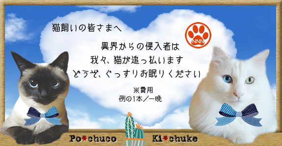 f:id:nyan-chuke:20200828011758j:plain f:id:nyan-chuke:20200828011758j:plain