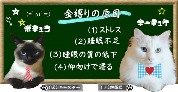 f:id:nyan-chuke:20200828023543j:plain f:id:nyan-chuke:20200828023543j:plain