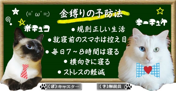 f:id:nyan-chuke:20200828023630j:plain f:id:nyan-chuke:20200828023630j:plain