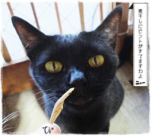 f:id:nyan-chuke:20200904150811j:plain f:id:nyan-chuke:20200904150811j:plain