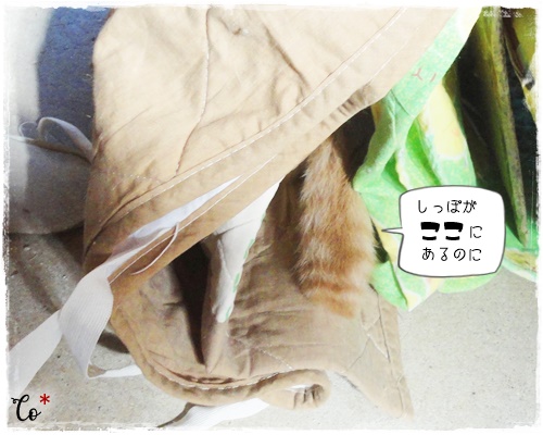f:id:nyan-chuke:20200904162914j:plain f:id:nyan-chuke:20200904162914j:plain