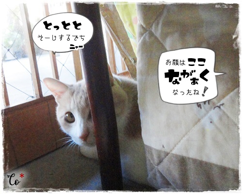 f:id:nyan-chuke:20200904162925j:plain f:id:nyan-chuke:20200904162925j:plain