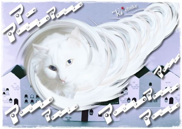 f:id:nyan-chuke:20200910203746j:plain