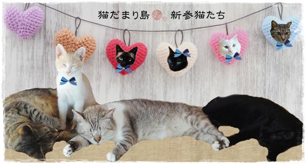 f:id:nyan-chuke:20200911235555j:plain