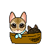 f:id:nyan-chuke:20200912000036g:plain f:id:nyan-chuke:20200912000036g:plain