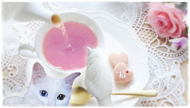 f:id:nyan-chuke:20200912192943j:plain
