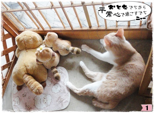 f:id:nyan-chuke:20200916152716j:plain f:id:nyan-chuke:20200916152716j:plain