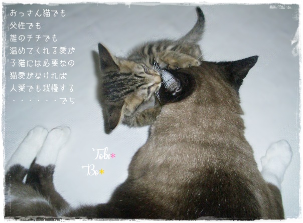 f:id:nyan-chuke:20200922145134j:plain