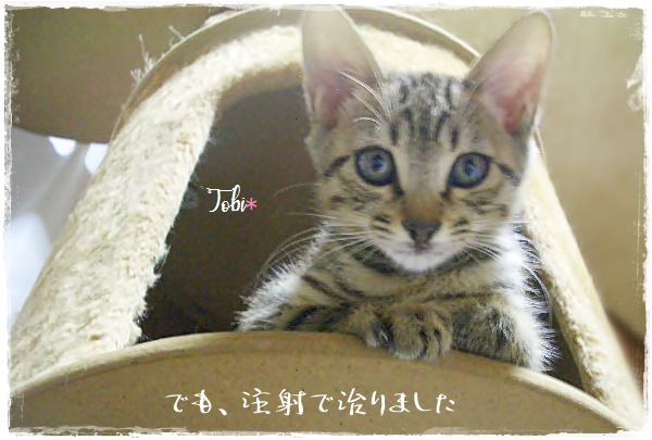 f:id:nyan-chuke:20200922153602j:plain