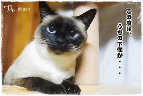 f:id:nyan-chuke:20201001145441j:plain f:id:nyan-chuke:20201001145441j:plain