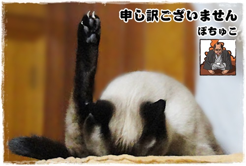 f:id:nyan-chuke:20201001145452j:plain f:id:nyan-chuke:20201001145452j:plain