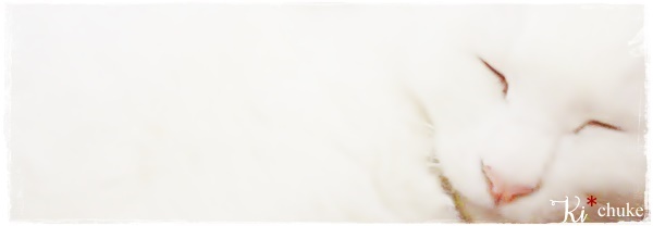 f:id:nyan-chuke:20201006133532j:plain