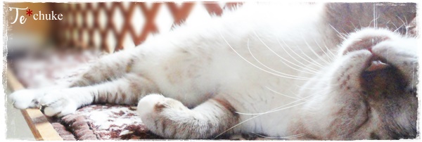 f:id:nyan-chuke:20201006140046j:plain