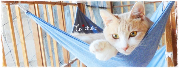 f:id:nyan-chuke:20201006140100j:plain