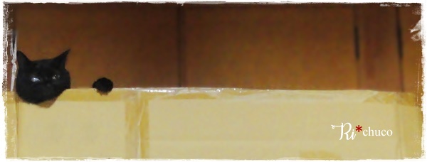 f:id:nyan-chuke:20201006190330j:plain