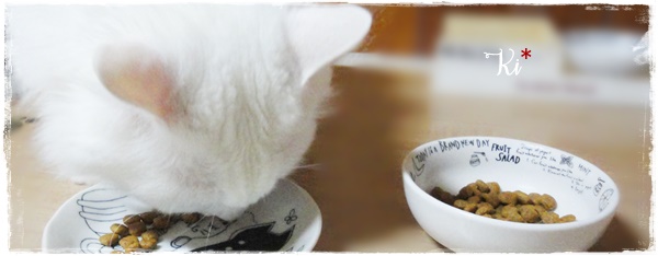 f:id:nyan-chuke:20201006201925j:plain