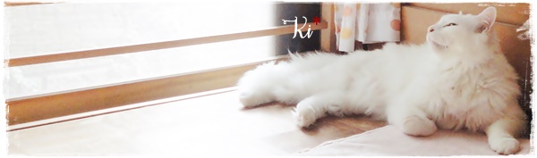 f:id:nyan-chuke:20201007133206j:plain