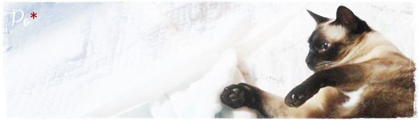 f:id:nyan-chuke:20201007133724j:plain