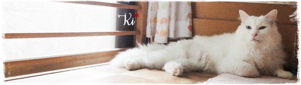 f:id:nyan-chuke:20201007133748j:plain