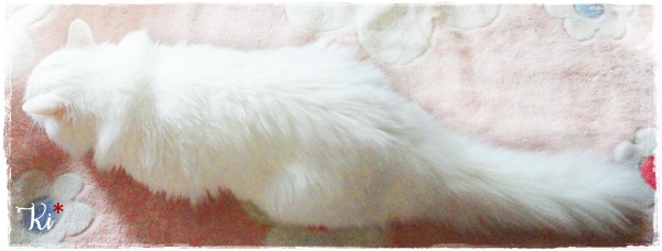 f:id:nyan-chuke:20201007141123j:plain