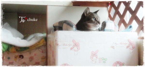 f:id:nyan-chuke:20201020004133j:plain f:id:nyan-chuke:20201020004133j:plain