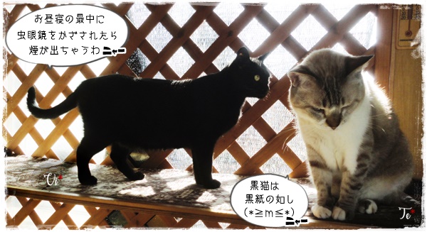 f:id:nyan-chuke:20201020133929j:plain f:id:nyan-chuke:20201020133929j:plain