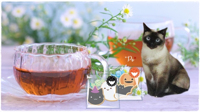 f:id:nyan-chuke:20201101123717j:plain f:id:nyan-chuke:20201101123717j:plain