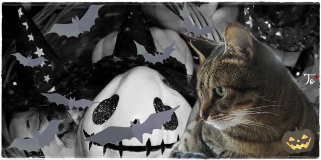 f:id:nyan-chuke:20201102113131j:plain f:id:nyan-chuke:20201102113131j:plain