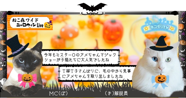 f:id:nyan-chuke:20201105002915j:plain f:id:nyan-chuke:20201105002915j:plain