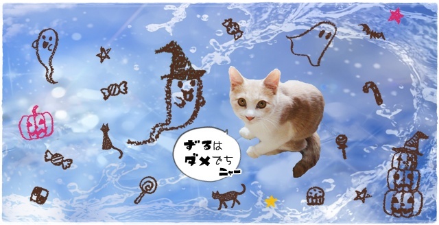 f:id:nyan-chuke:20201105003625j:plain f:id:nyan-chuke:20201105003625j:plain
