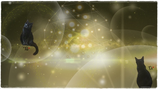 f:id:nyan-chuke:20201108193508j:plain