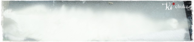 f:id:nyan-chuke:20201123121318j:plain
