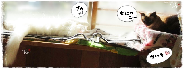 f:id:nyan-chuke:20201123141840j:plain
