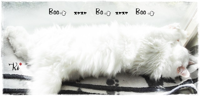 f:id:nyan-chuke:20201123143103j:plain